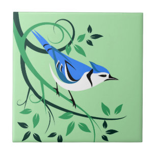 Blue Jay Tile Fliese