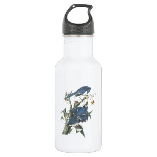 Blue Jay von Audubon Edelstahlflasche