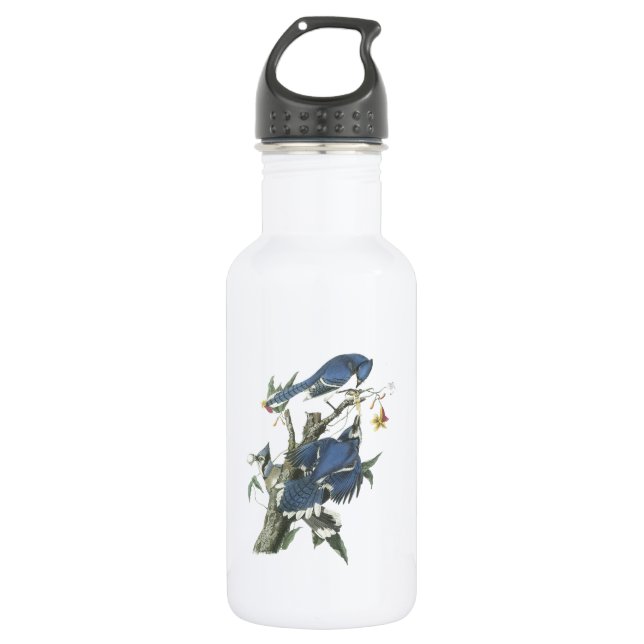 Blue Jay von Audubon Edelstahlflasche (Vorderseite)