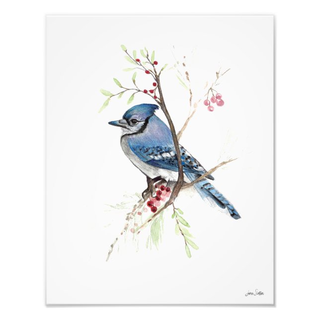 Blue Jay Watercolor Foto Print (Vorne)