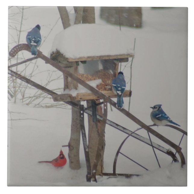 Blue Jays at Breakfast Fliese (Vorderseite)