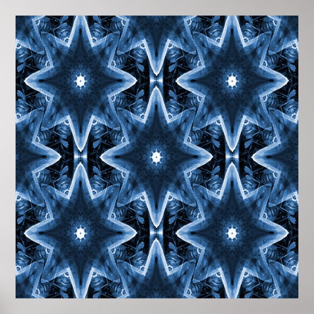 Blue Jean Lilies...... Poster (Vorne)