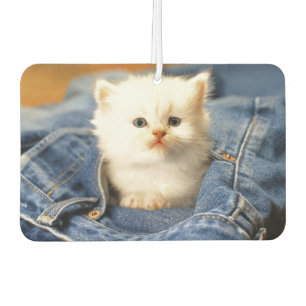 Blue Jean Pocket Kitten Air Freshener Autolufterfrischer