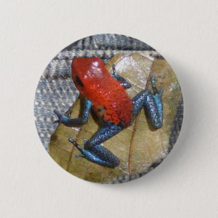 Blue Jeans Frosch Button