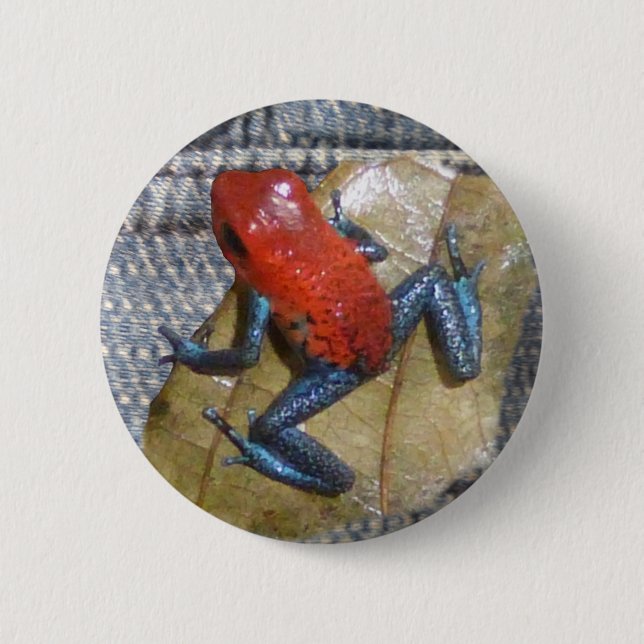 Blue Jeans Frosch Button (Vorderseite)