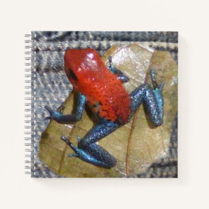 Blue Jeans Frosch Square Notebook Notizbuch
