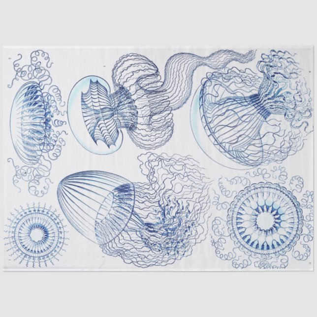 Blue Jellyfish Decoupage Seidenpapier (Vorderseite)
