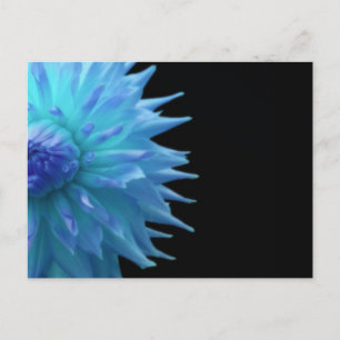 Blue Jennie auf Black Postcard Postkarte