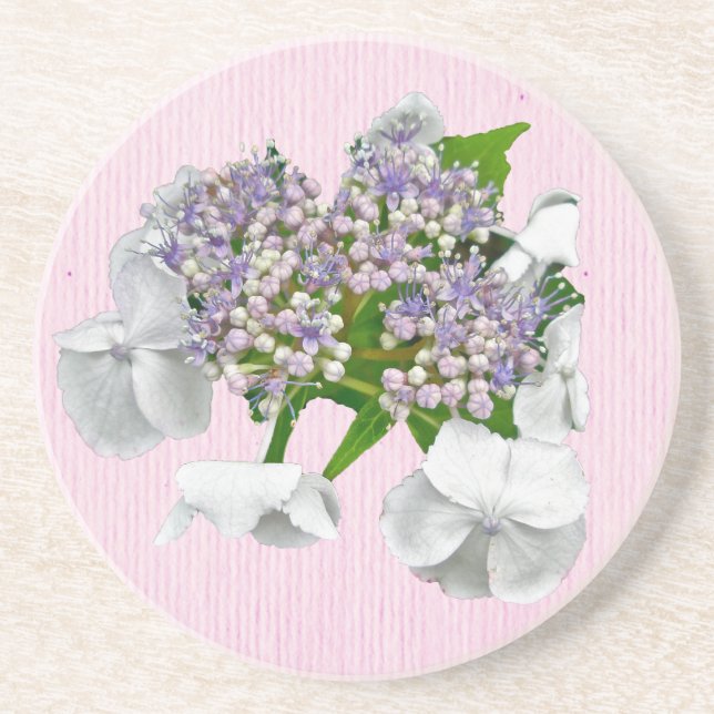 Blue Lace Hydrangea Untersetzer (Vorne)