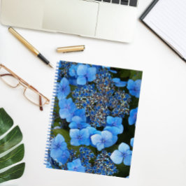 Blue Lacecap Hydrangea Bläschen-Notebook Notizbuch