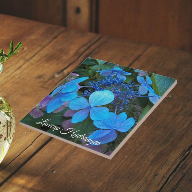 Blue Lacecap Hydrangea Floral Fliese (In Situ)