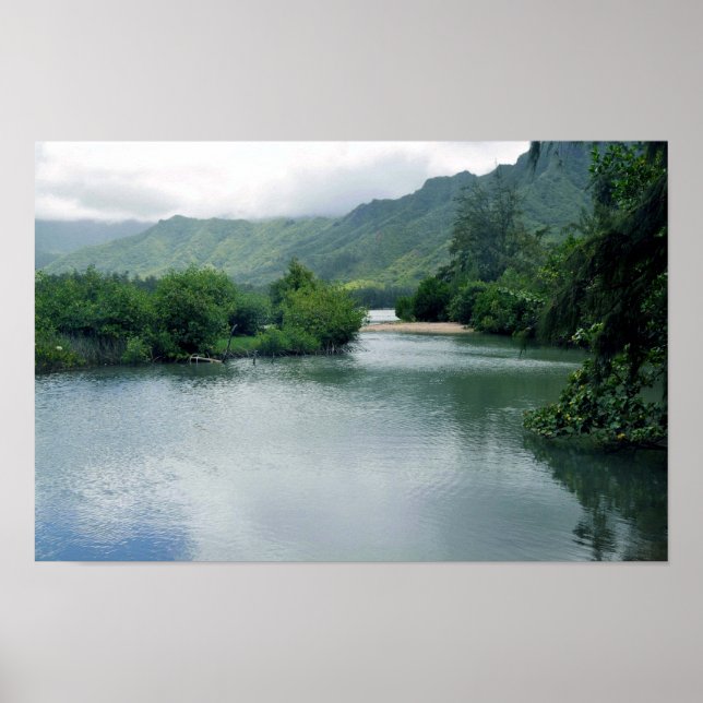 Blue Lagoon Poster (Vorne)