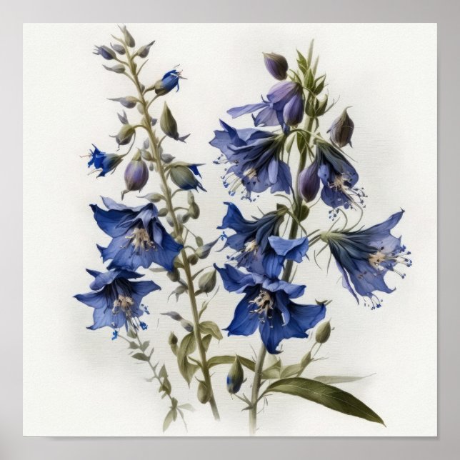 Blue Larkspur Blume Art Print Poster (Vorne)