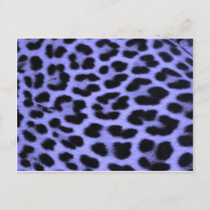 Blue Leopard Print Background Postkarte