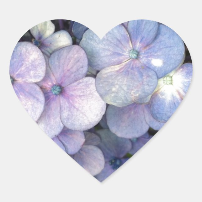 Blue Lila Hydrangea Herzkleber Herz-Aufkleber (Vorderseite)