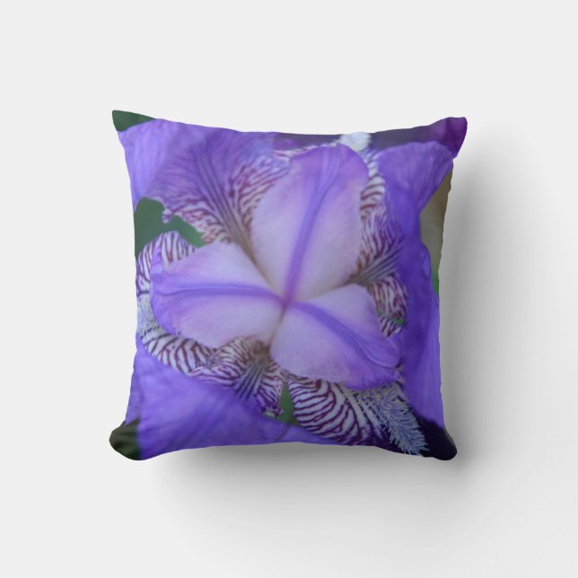Blue Lila Iris Blume Kissen (Vorderseite)