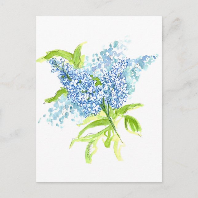 Blue Lilacs Spring Bouquet Watercolor Blume Postkarte (Vorderseite)