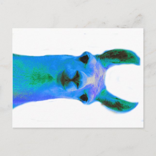 Blue Llama Graphic Postkarte (Vorderseite)