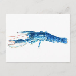 Blue lobster fine art watercolor postcard postkarte