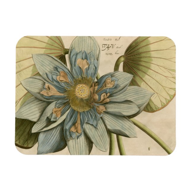 Blue Lotus Blume auf Tan Hintergrund mit Schreiben Magnet (Horizontal)