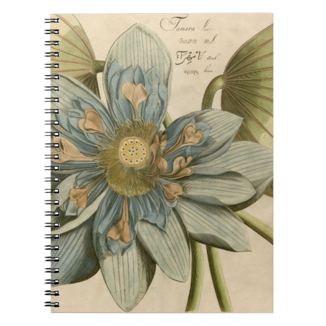 Blue Lotus Blume auf Tan Hintergrund mit Schreiben Notizblock (Vorderseite)