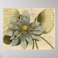 Blue Lotus Blume auf Tan Hintergrund mit Schreiben