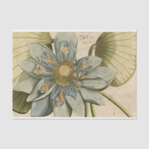 Blue Lotus Blume auf Tan Hintergrund mit Schreiben Seidenpapier