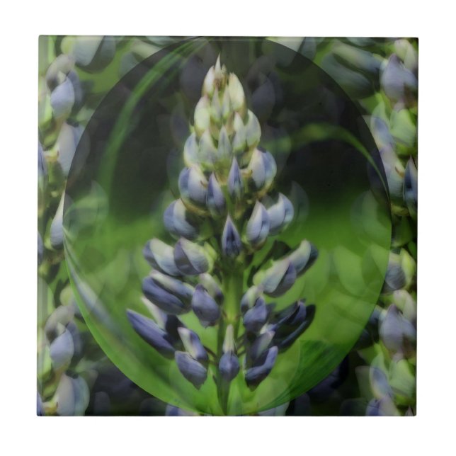 Blue Lupine Blume Abstrakt Art Fliese (Vorderseite)
