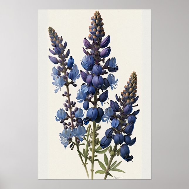 Blue Lupine Blume Art Print Poster (Vorne)
