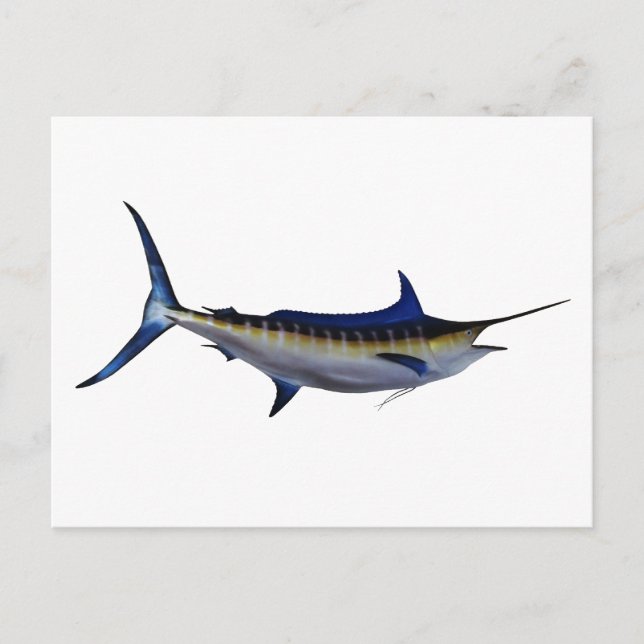 Blue Marlin Fish Postkarte (Vorderseite)