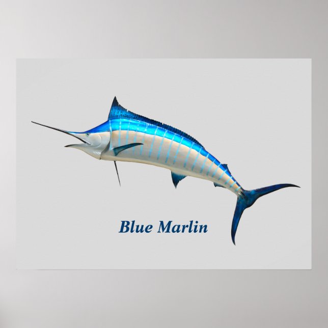 Blue Marlin Poster (Vorne)