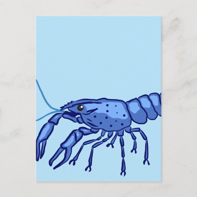 Blue Marron Sketch Postkarte (Vorderseite)