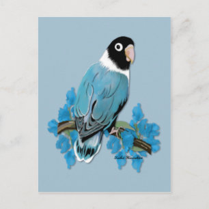 Blue Masked Lovebird Postcard Postkarte