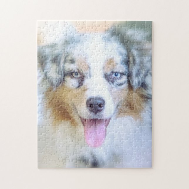 Blue Merle Australian Shepherd (Vertikal)