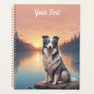Blue Merle Border Collie am See Planer