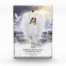 Blue Merle Collie Angel im Himmel - Memorial für H