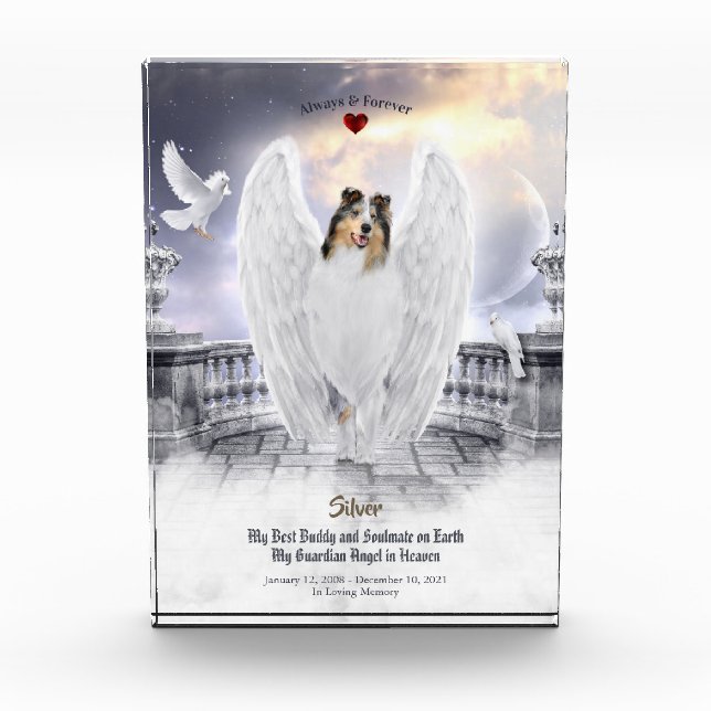 Blue Merle Collie Angel im Himmel - Memorial für H Fotoblock (Vorderseite)