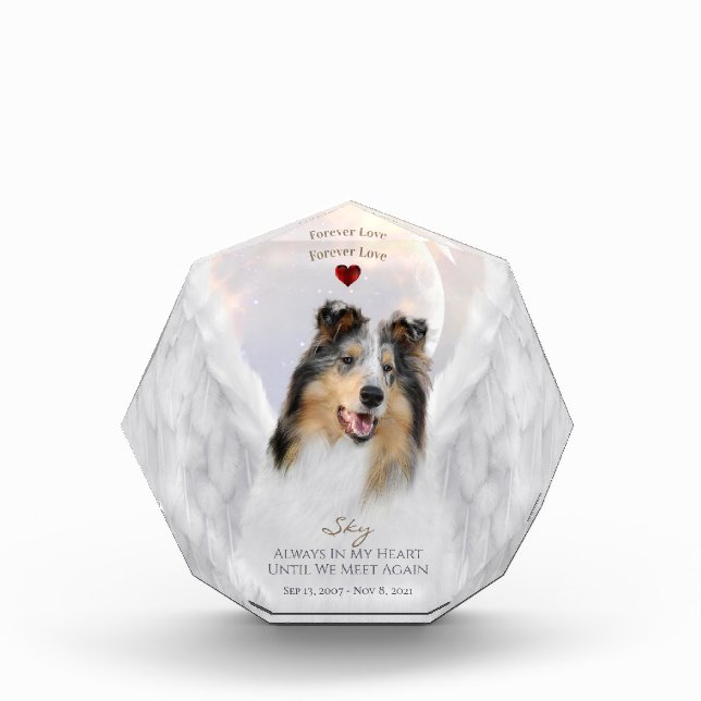 Blue Merle Collie Angel Portrait - Memorial für Ha Fotoblock (Vorderseite)