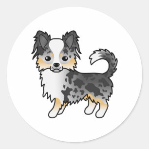 Blue Merle Long Coat Chihuahua Niedlicher Cartoon Runder Aufkleber