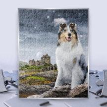Blue Merle Rough Collie auf der Burg Eilean Donan