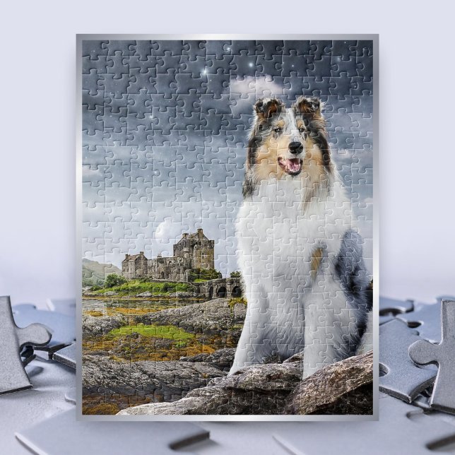 Blue Merle Rough Collie auf der Burg Eilean Donan  (Von Creator hochgeladen)