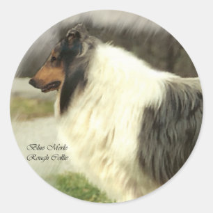 Blue Merle Rough Collie Geschenke Runder Aufkleber