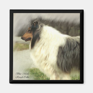 Blue Merle Rough Collie Kunstgiesserei Magnet