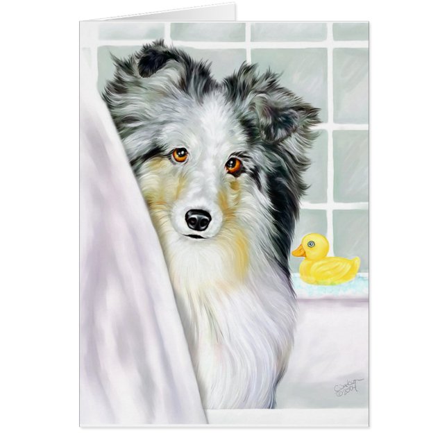 Blue Merle Sheltie Bath (Vorne)
