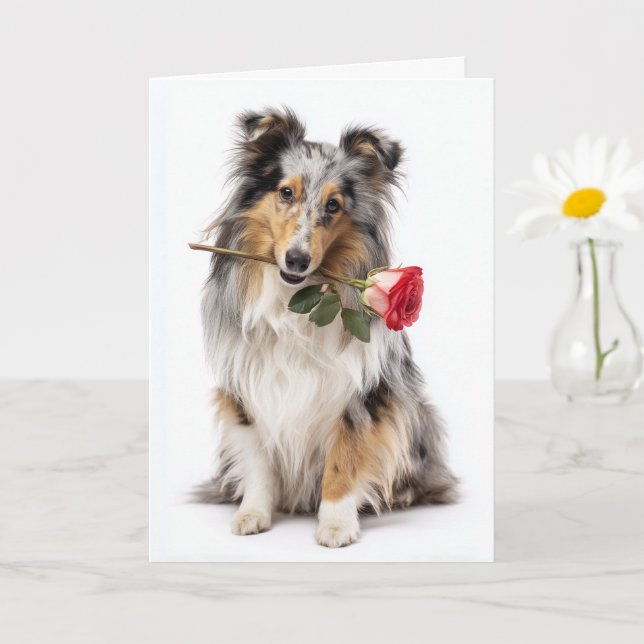 Blue Merle Sheltie Valentine – Sanfte Hingabe Karte (Kleine Pflanze)