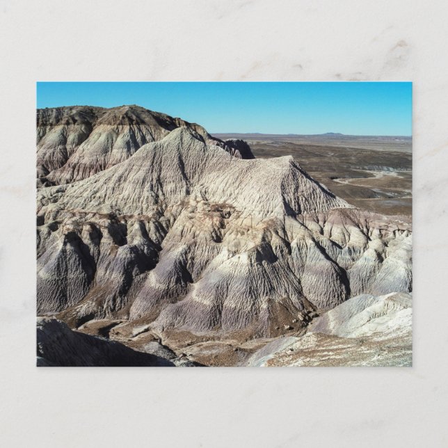 Blue Mesa Badlands, versteinerter Wald-Nationalpar Postkarte (Vorderseite)