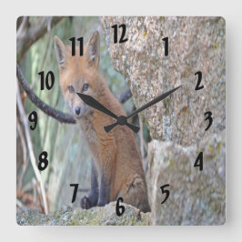 Blue Mit Augen Baby Fox Quadratische Wanduhr