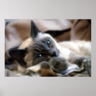 Blue Mit Augen Beauty Poster