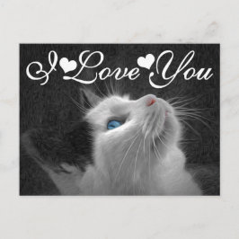 Blue Mit Augen Cat Foto Image I Liebe You Postkarte