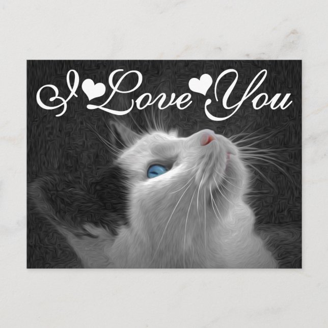 Blue Mit Augen Cat Foto Image I Liebe You Postkarte (Vorderseite)